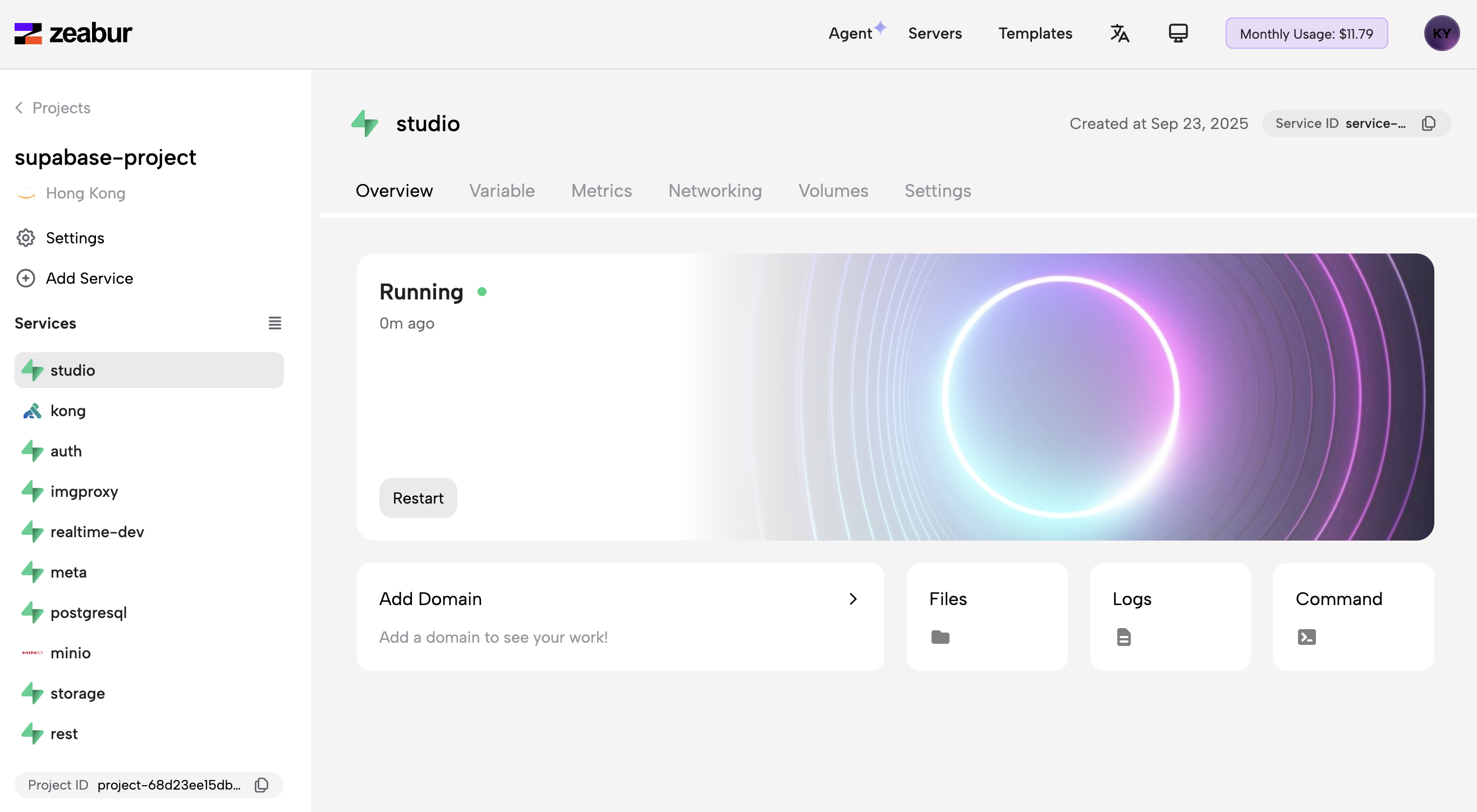 6. Proyecto y servicios de Supabase ejecutándose en Zeabur.png