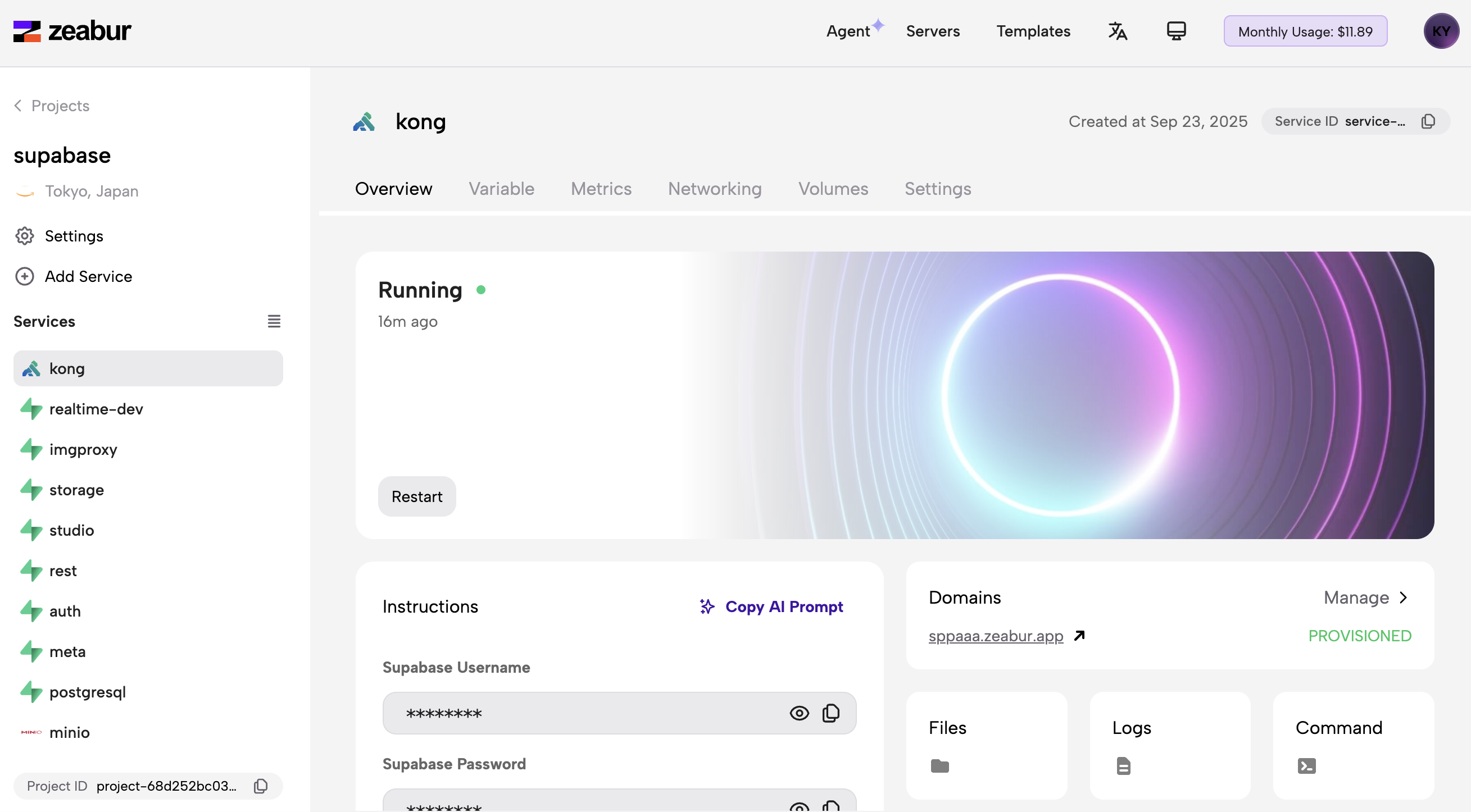 8. Implementación exitosa y visualización del panel de servicios.png