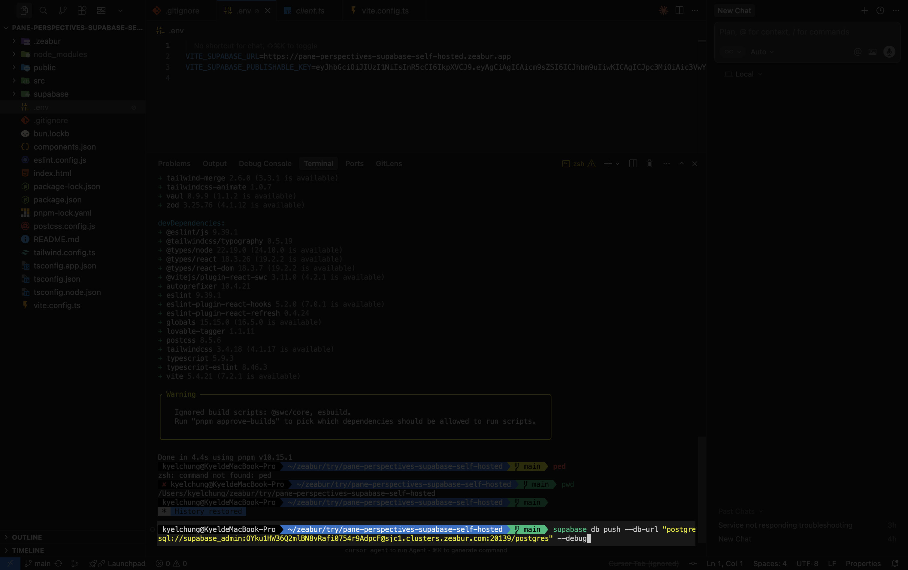 Zeabur PostgreSQL Panel